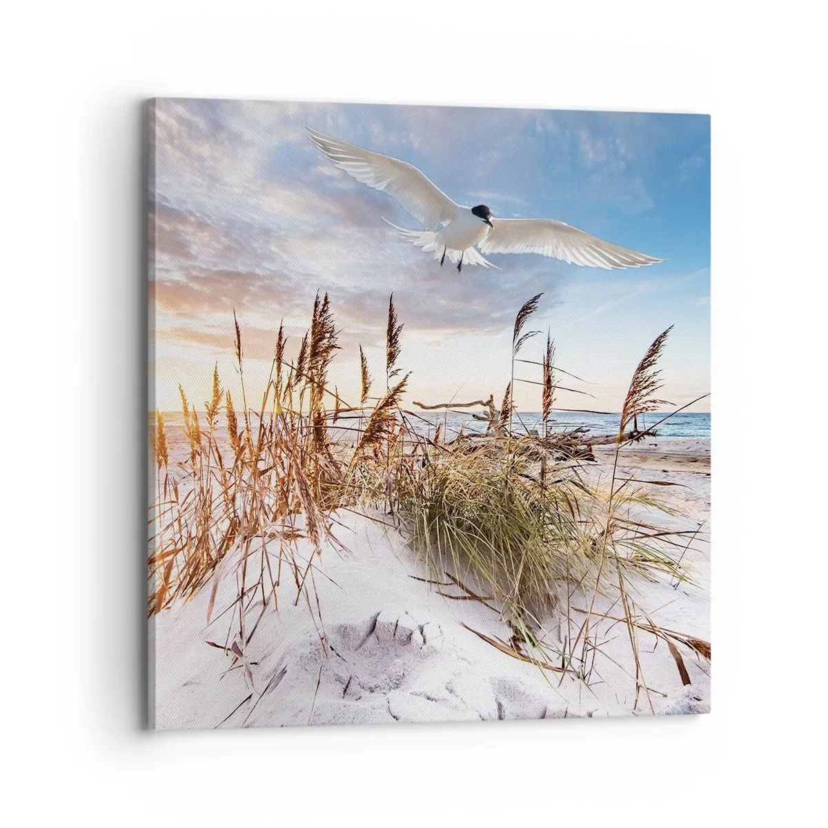 Schilderen op canvas - Wind uit zee - 70x70 cm