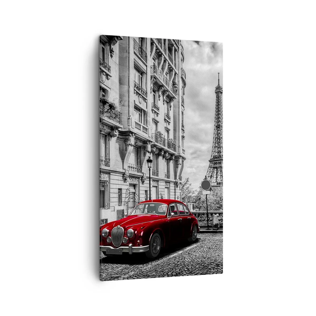 Schilderen op canvas - Roofdier in de stad - 45x80 cm
