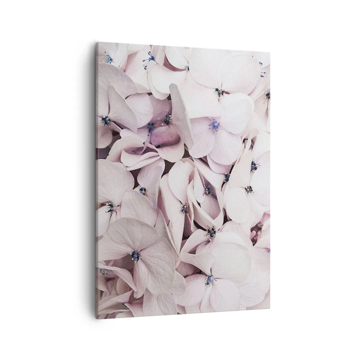 Schilderen op canvas - In een vloed van bloemen - 50x70 cm