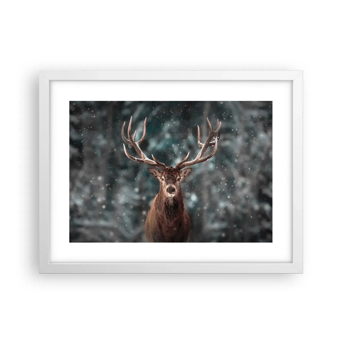 Poster in een witte lijst - Gekroond tot koning van het bos - 40x30 cm