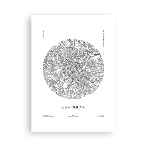 Poster - Anatomie van Birmingham - 50x70 cm