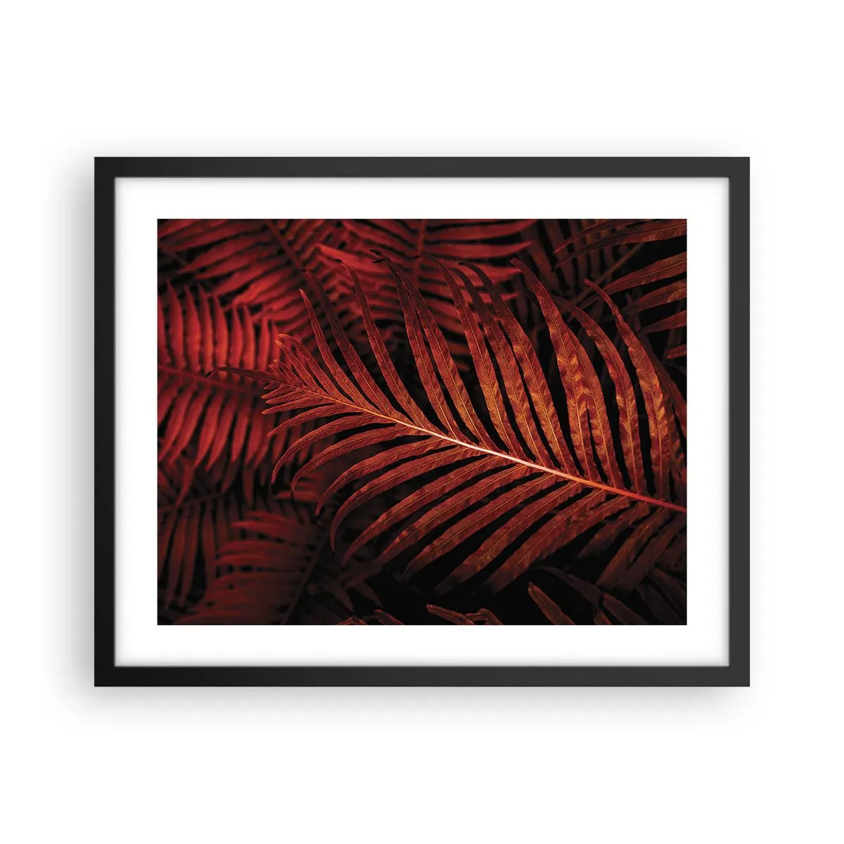 Poster in een zwarte lijst - De hitte van het leven - 50x40 cm