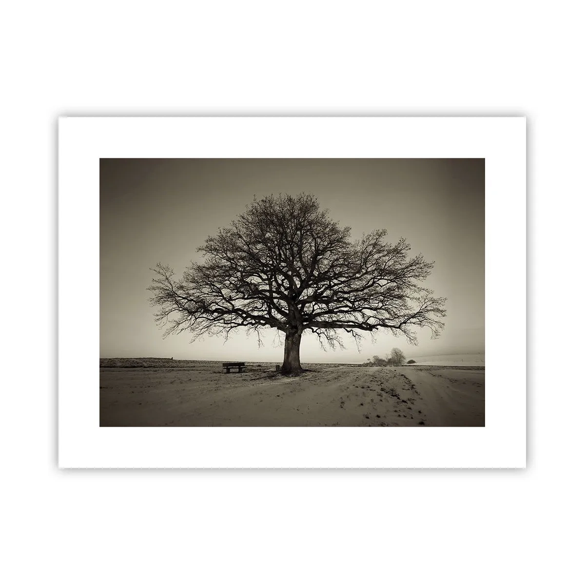 Poster - Van hier tot in de eeuwigheid - 40x30 cm