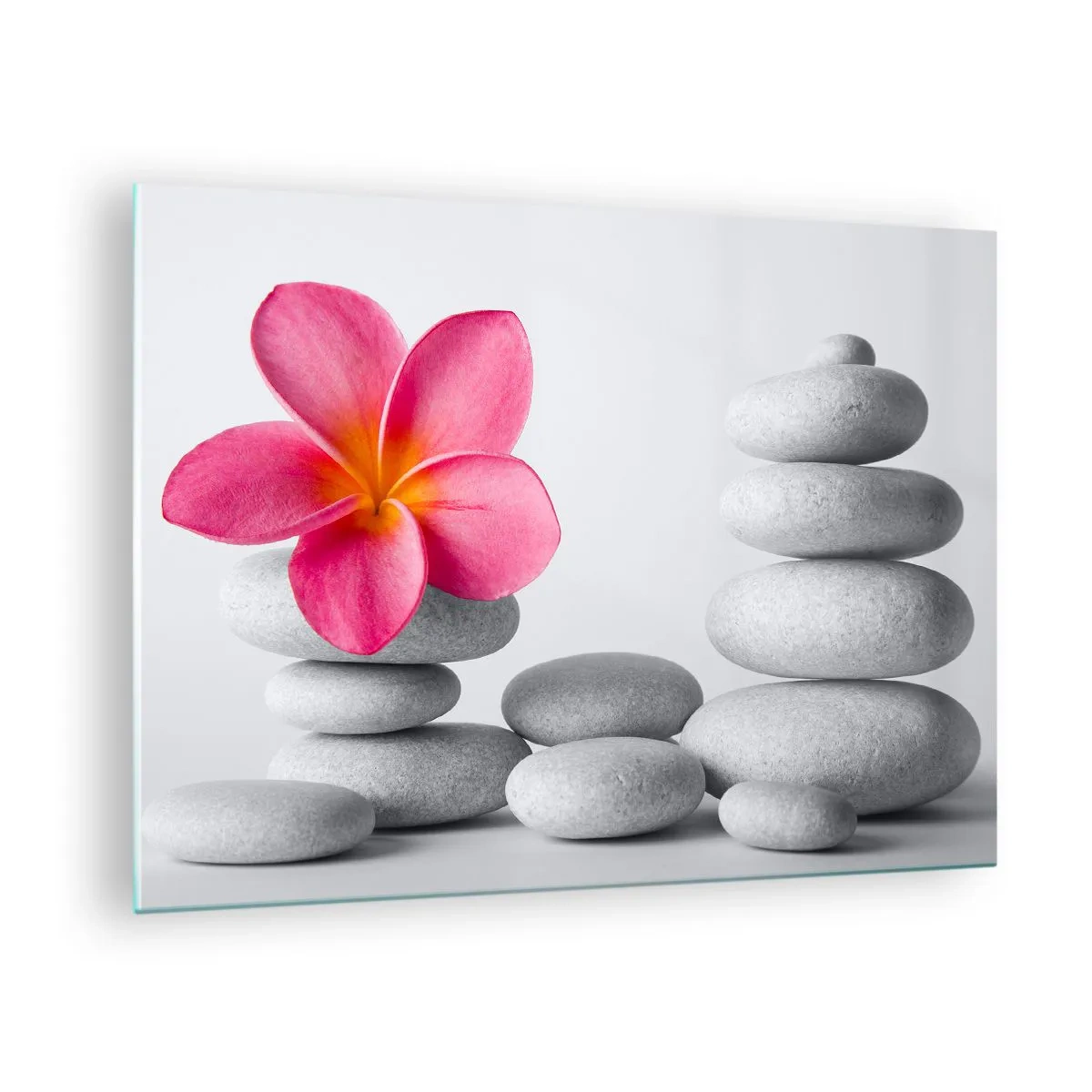 Schilderen op glas - Een roze bloem tegen een stapel witte stenen - 70x50cm - Steen op steen, en op deze steen... - Moderne wanddecoratie voor woonkamer en slaapkamer ARTTOR