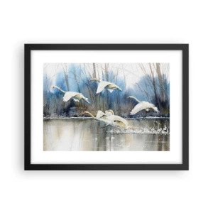 Poster in een zwarte lijst - Zoals in het sprookje over wilde zwanen - 40x30 cm