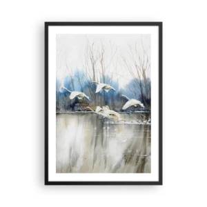 Poster in een zwarte lijst - Een zwerm zwanen die op schilderachtige wijze over het water zweeft - 50x70cm - Zoals in het sprookje over wilde zwanen - Moderne wanddecoratie voor woonkamer en slaapkamer ARTTOR