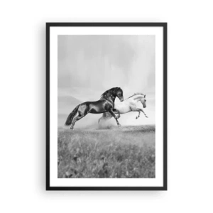 Poster in een zwarte lijst - Zwart-witte paarden galopperen dynamisch tegen een veldachtergrond - 50x70cm - Engelen en duivels - Moderne wanddecoratie voor woonkamer en slaapkamer ARTTOR