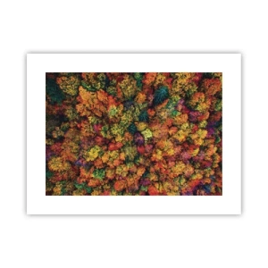 Poster - Boeket herfstbomen - 40x30 cm