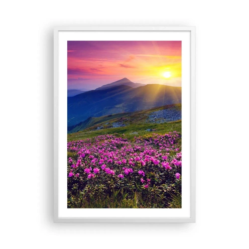 Poster in een witte lijst - … En eromheen ruikt het naar bergdennen en de geur van kruiden - 50x70 cm