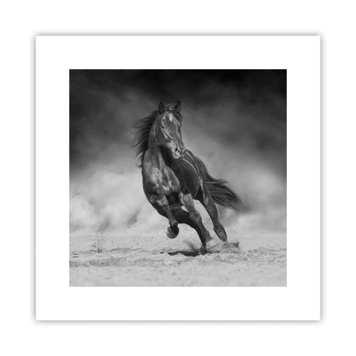 Poster - De emir zelf waardig - 30x30 cm