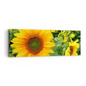 Schilderen op canvas - Honderden zonnen vlamden op - 90x30 cm