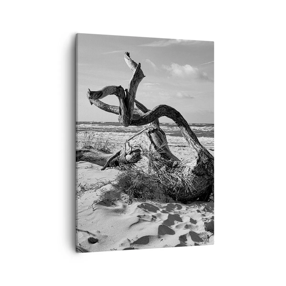 Schilderen op canvas - Zee sculptuur - 50x70 cm
