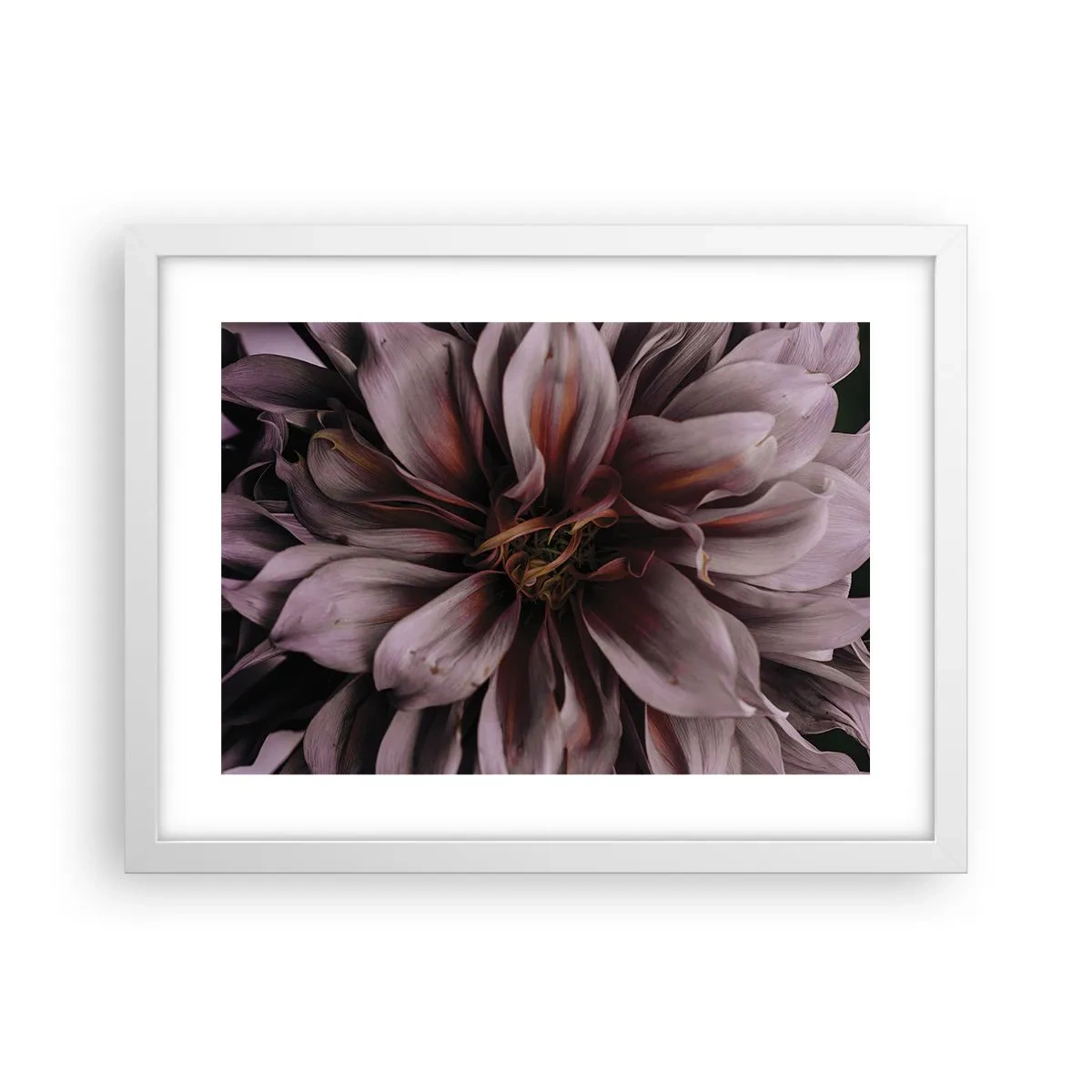 Poster in een witte lijst - Een bloemenhart - 40x30 cm