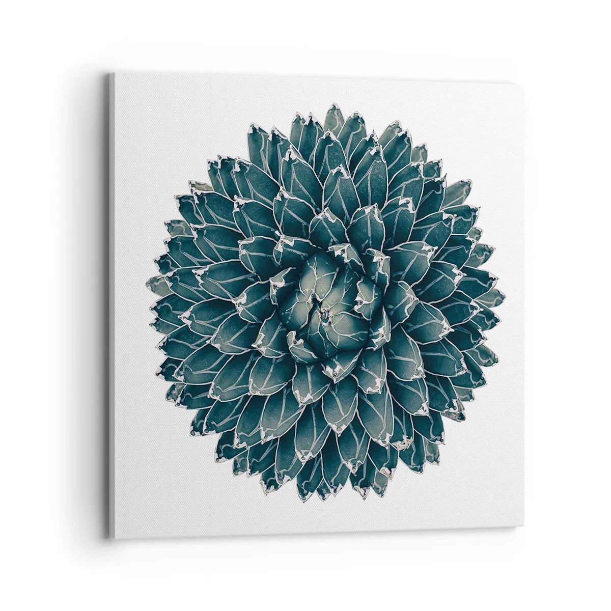 Schilderen op canvas - De ster van de woestijn - 70x70 cm