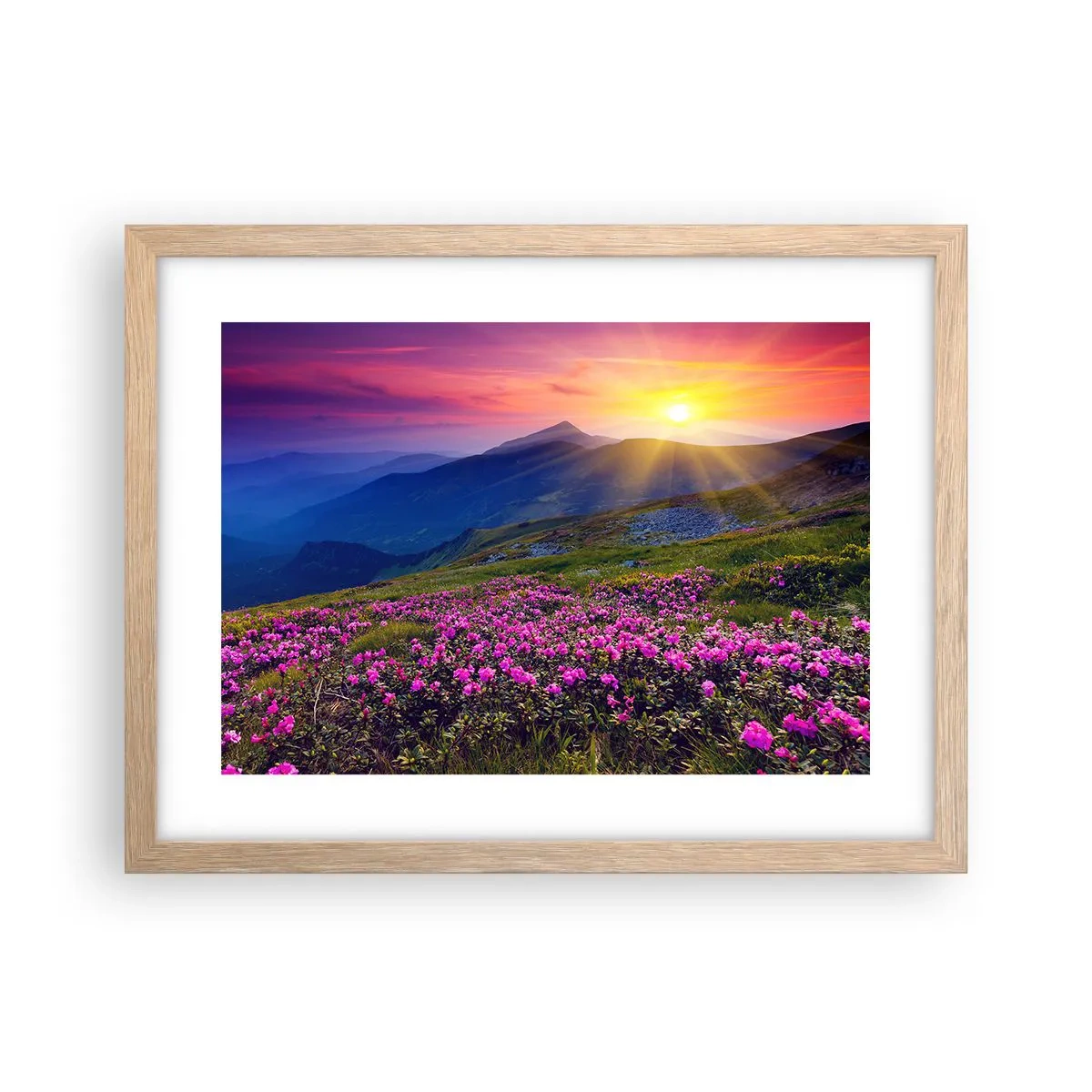 Een poster in een licht eiken lijst - … En eromheen ruikt het naar bergdennen en de geur van kruiden - 40x30 cm