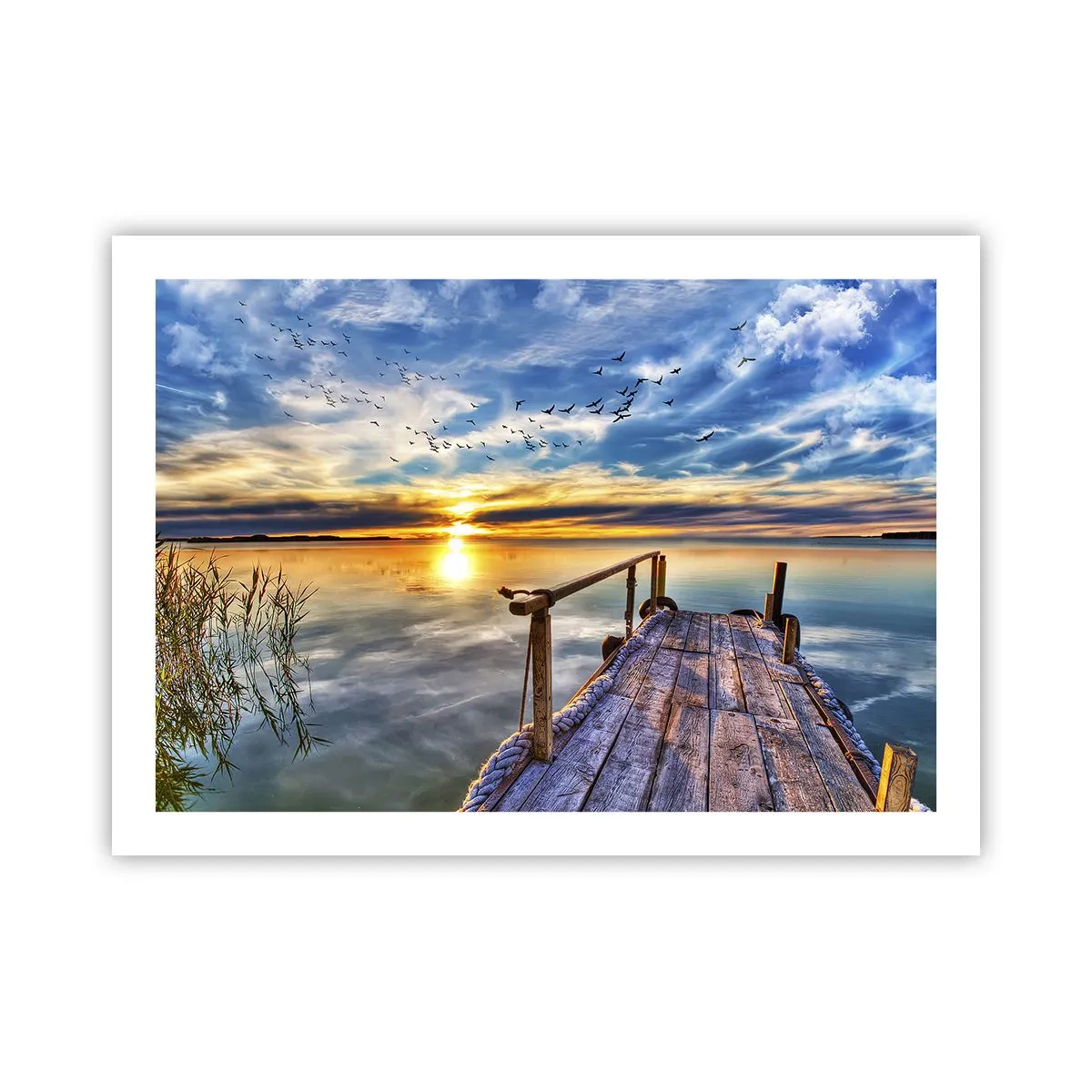 Poster - De wind gaat rusten - 70x50 cm