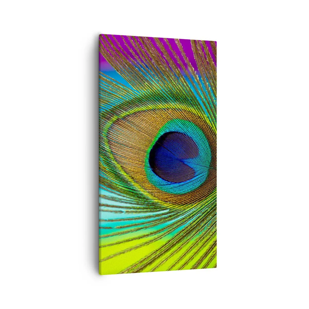 Schilderen op canvas - Oog in oog - 55x100 cm