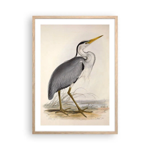 Een poster in een licht eiken lijst - Charmes van de reiger - 50x70 cm