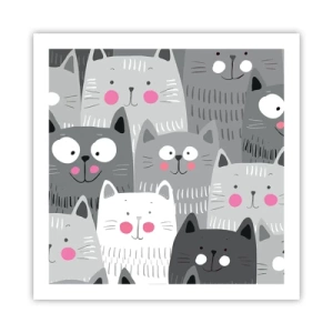 Poster - De wereld van de kat - 60x60 cm