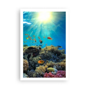 Poster - Onderwater schatten - 61x91 cm