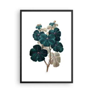 Poster in een zwarte lijst - Botanische illustratie met donkergroene bladeren op een lichte achtergrond - 50x70cm - Uit het oude herbarium - Moderne wanddecoratie voor woonkamer en slaapkamer ARTTOR