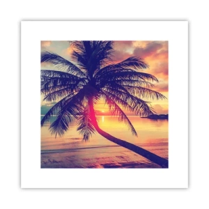 Poster - Avond onder de palmbomen - 30x30 cm
