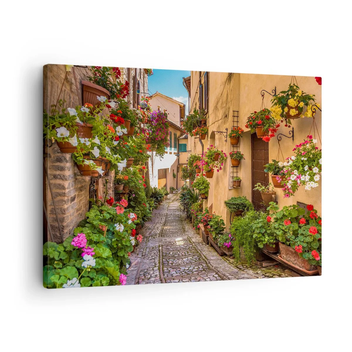 Schilderen op canvas - Een charmante straat vol bloemen en bloempotten - 70x50cm - Italiaans zijstraatje - Moderne wanddecoratie voor woonkamer en slaapkamer ARTTOR