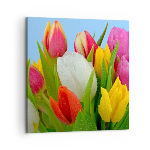 Schilderen op canvas - Een bloemenregenboog in dauwdruppels - 50x50 cm