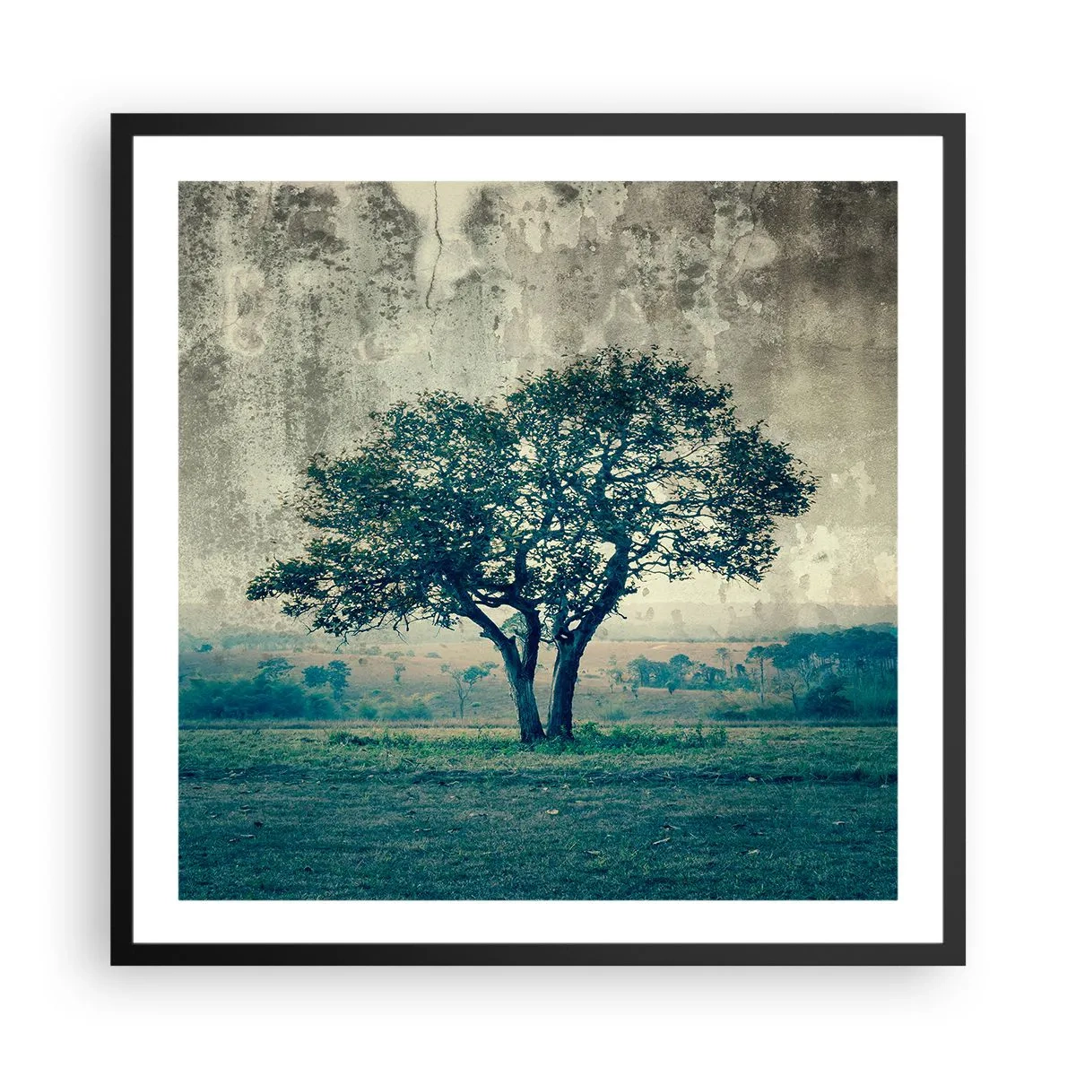 Poster in een zwarte lijst - Een appelboom op een blauw veld? - 60x60 cm