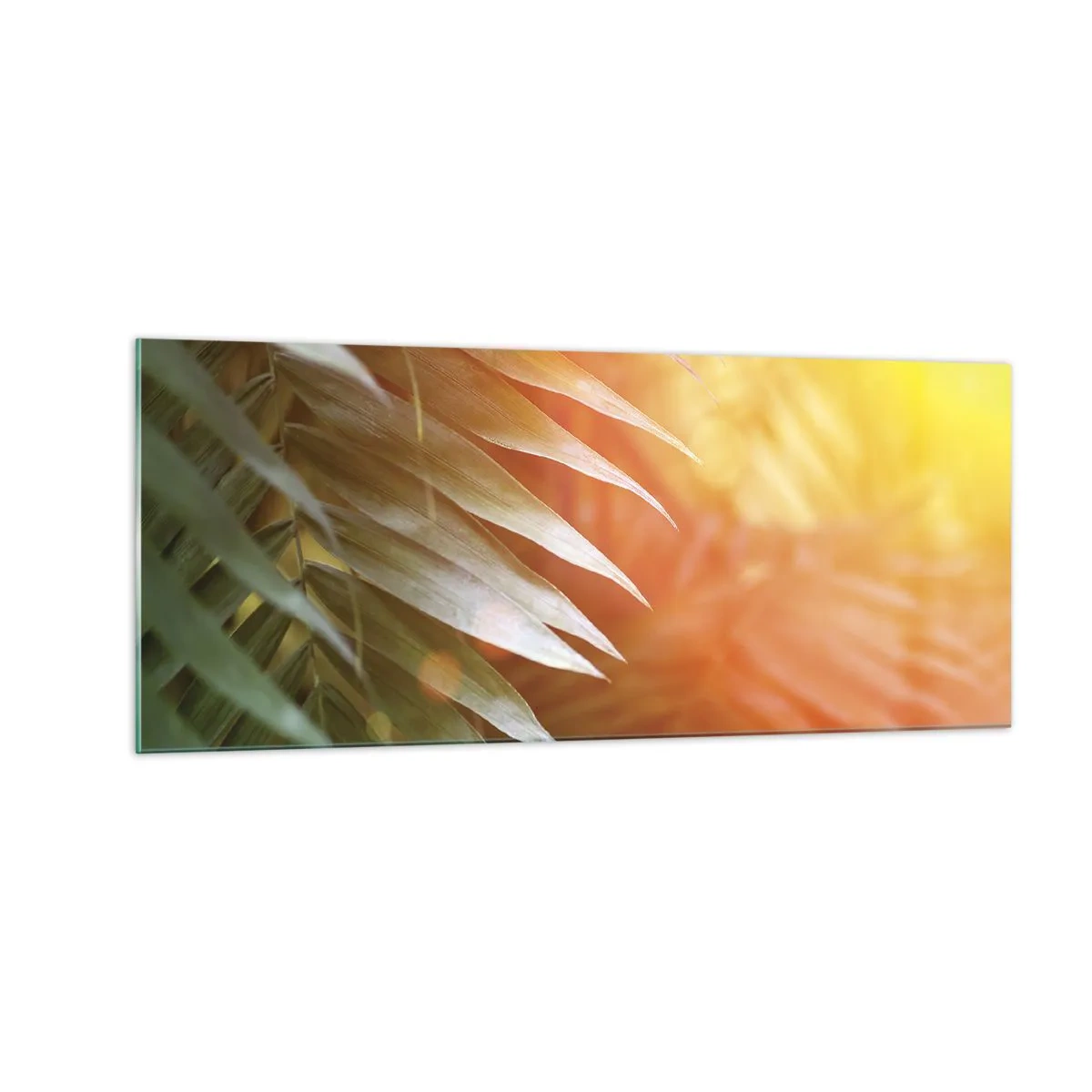 Schilderen op glas - Ochtend in de jungle - 100x40 cm