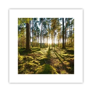 Poster - … Achter de zeven bossen - 30x30 cm