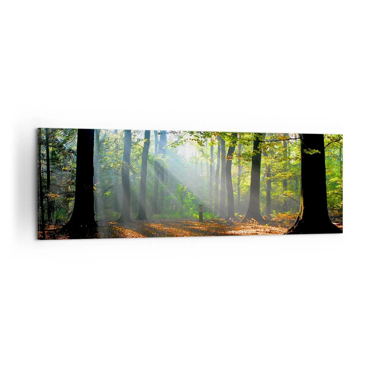 Schilderen op canvas - Lichten en schaduwen - 160x50 cm