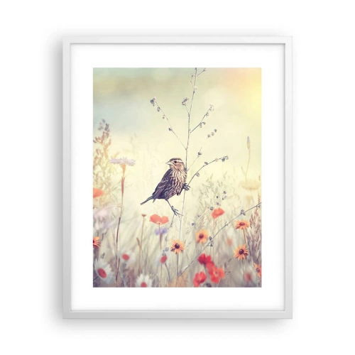 Poster in een witte lijst - Vogelportret met een weiland op de achtergrond - 40x50 cm