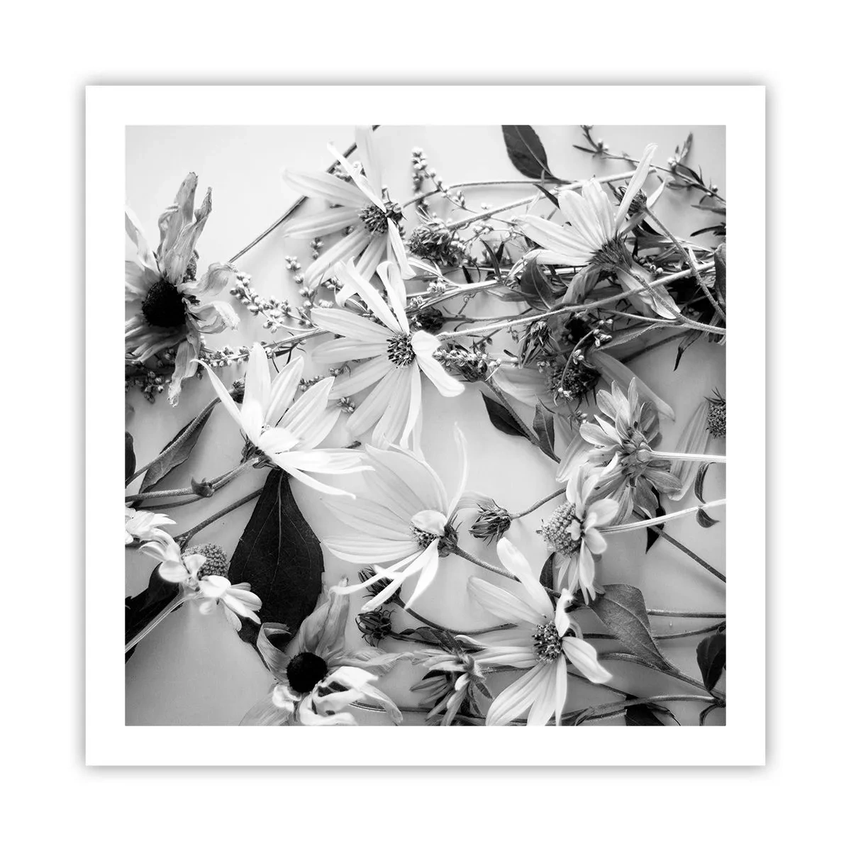 Poster - Niet-boeket bloemen - 60x60 cm