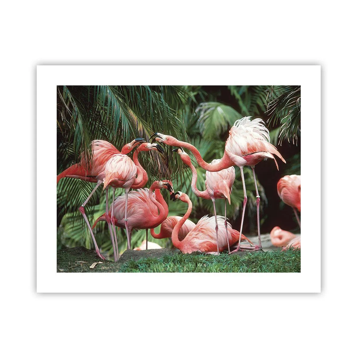 Poster - Middag roddels - 50x40 cm