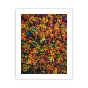 Poster - Boeket herfstbomen - 40x50 cm