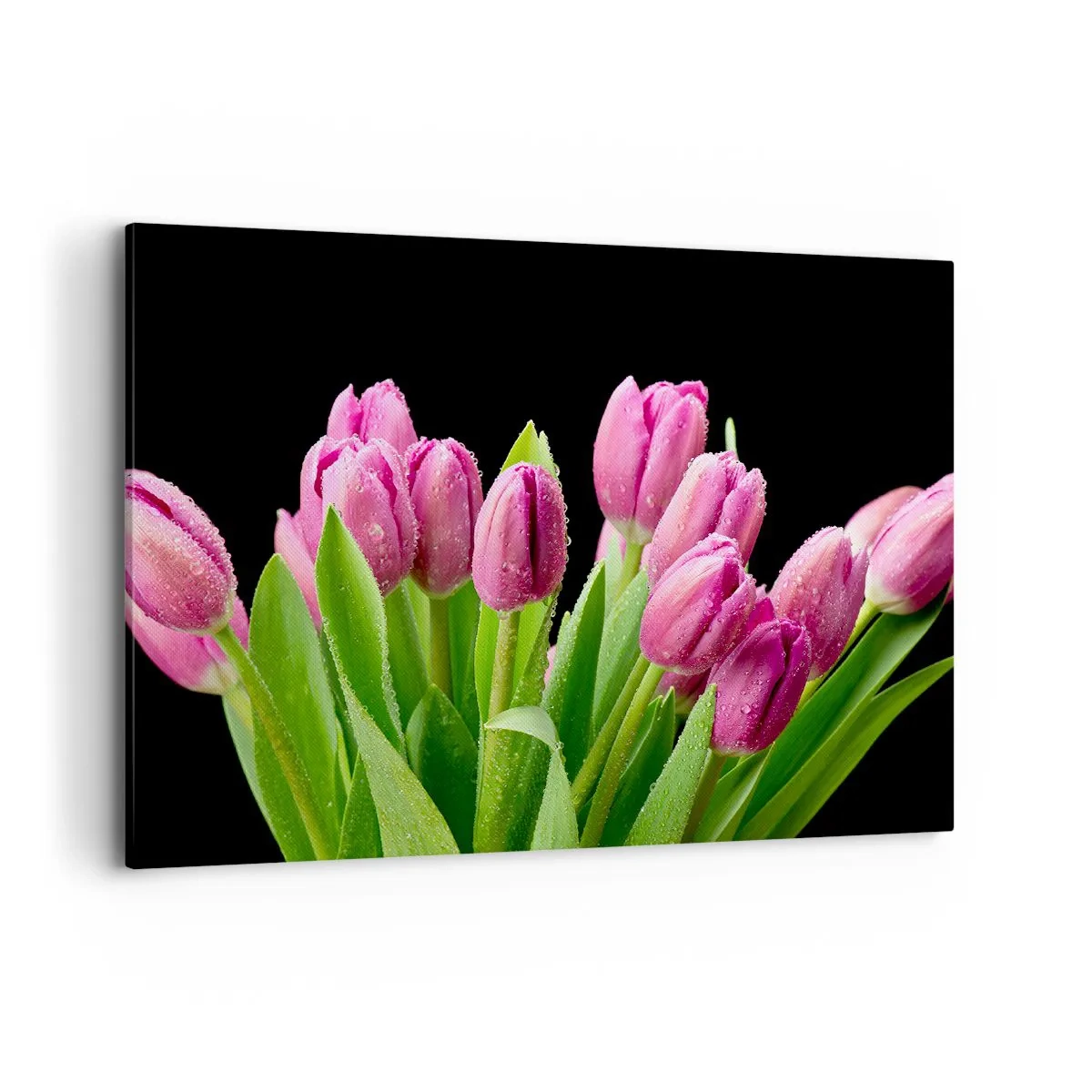 Schilderen op canvas - Lila vreugde van de lente - 100x70 cm