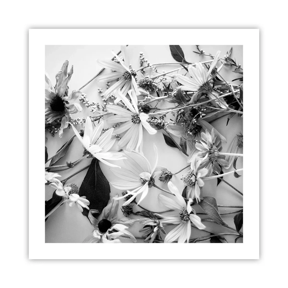 Poster - Niet-boeket bloemen - 50x50 cm