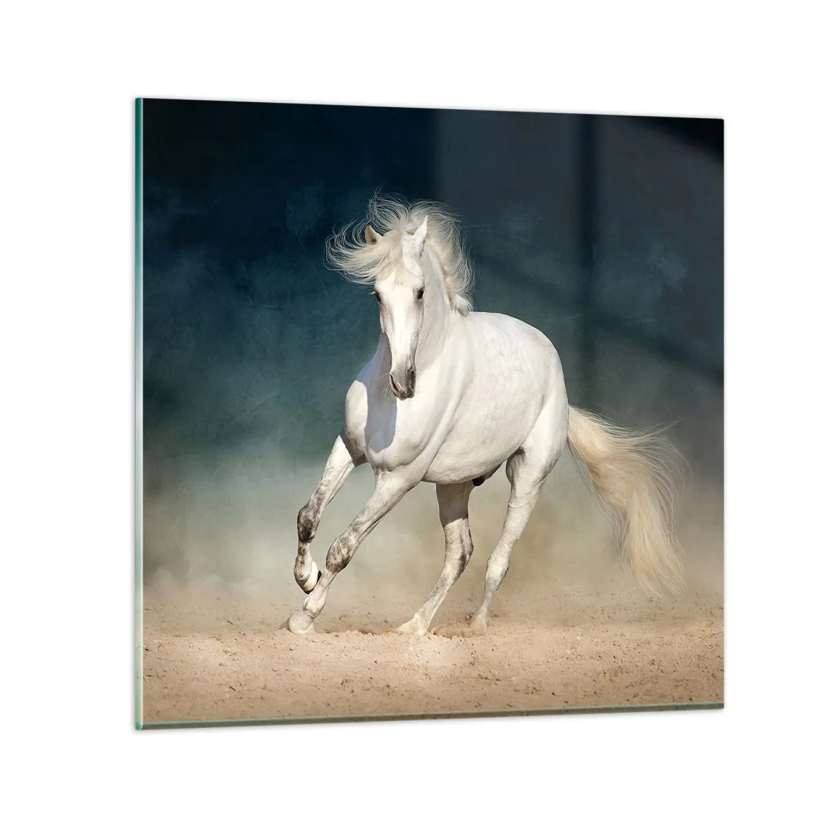 Schilderen op glas - Vrijheid in zijn pure staat - 70x70 cm