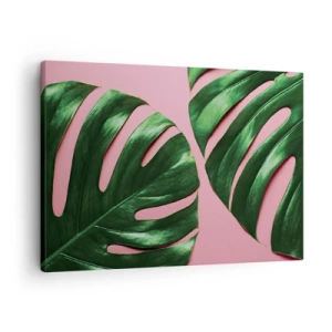 Schilderen op canvas - Groene monsterabladeren op een roze achtergrond - 70x50cm - Groene rendez-vous - Moderne wanddecoratie voor woonkamer en slaapkamer ARTTOR