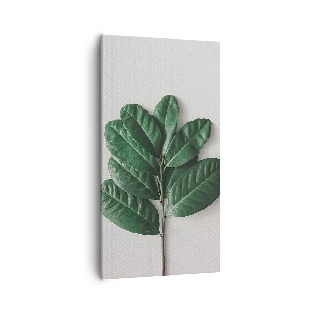 Schilderen op canvas - Een tekening van de pure natuur - 55x100 cm