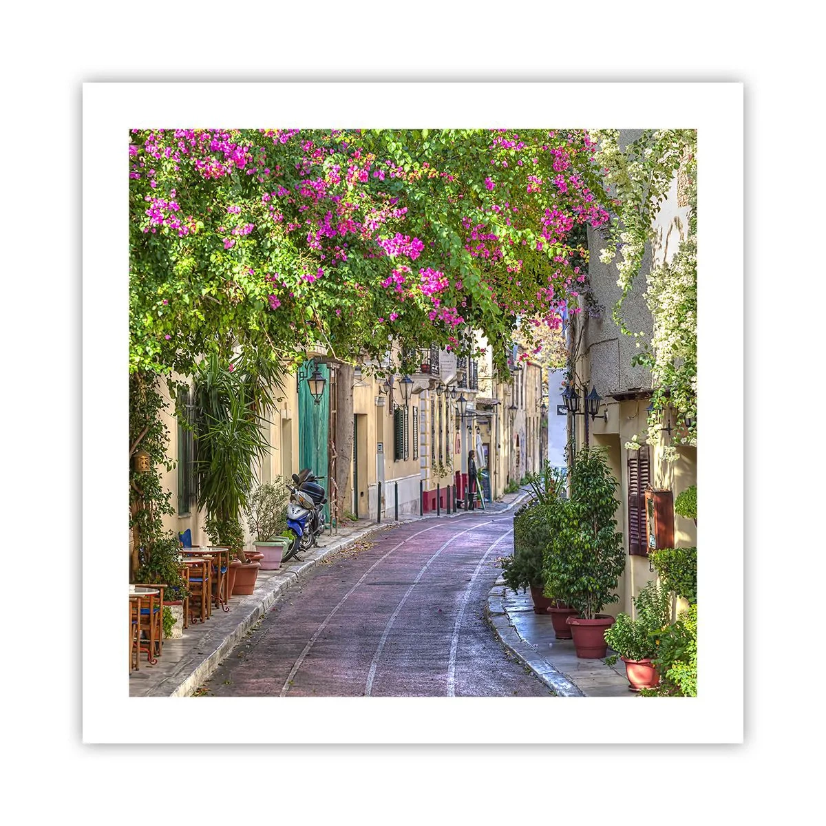 Poster - Bloeiende steeg - 50x50 cm