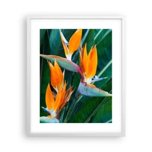 Poster in een witte lijst - Is het een bloem of is het een vogel? - 40x50 cm