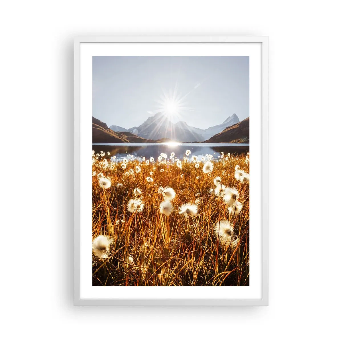 Poster in een witte lijst - Steenhardheid, graszachtheid - 50x70 cm