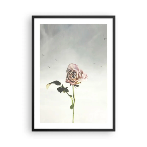 Poster in een zwarte lijst - Een subtiele roos tegen een delicate lucht - 50x70cm - Begroeting van de lente - Moderne wanddecoratie voor woonkamer en slaapkamer ARTTOR