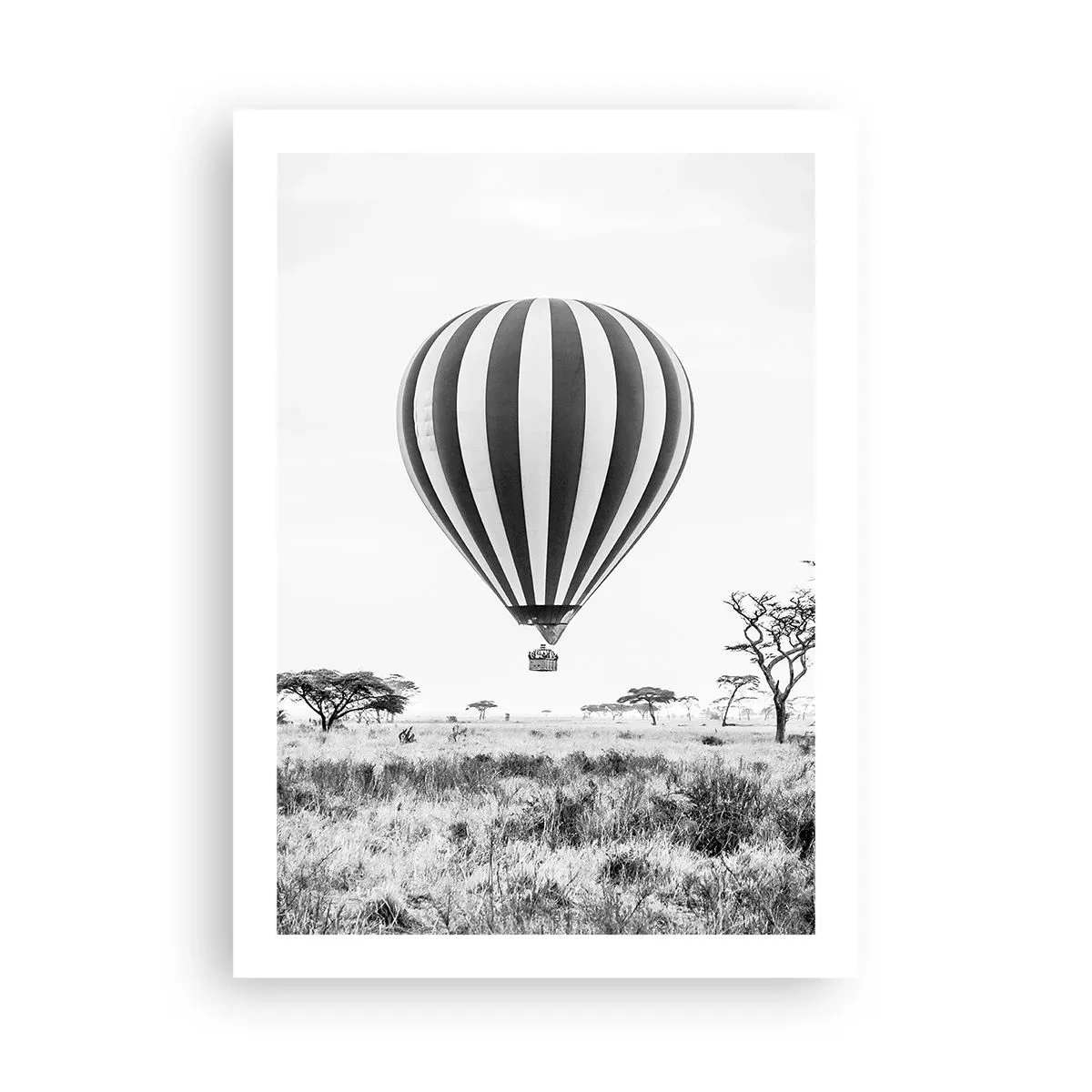 Poster - Boven de savanne - 50x70 cm