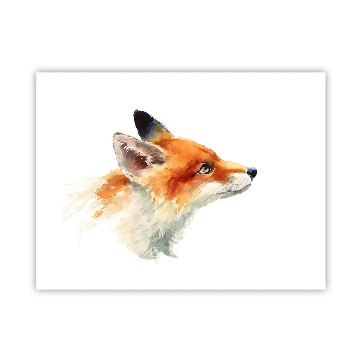 Poster - Je kunt nooit voorzichtig genoeg zijn - 40x30 cm