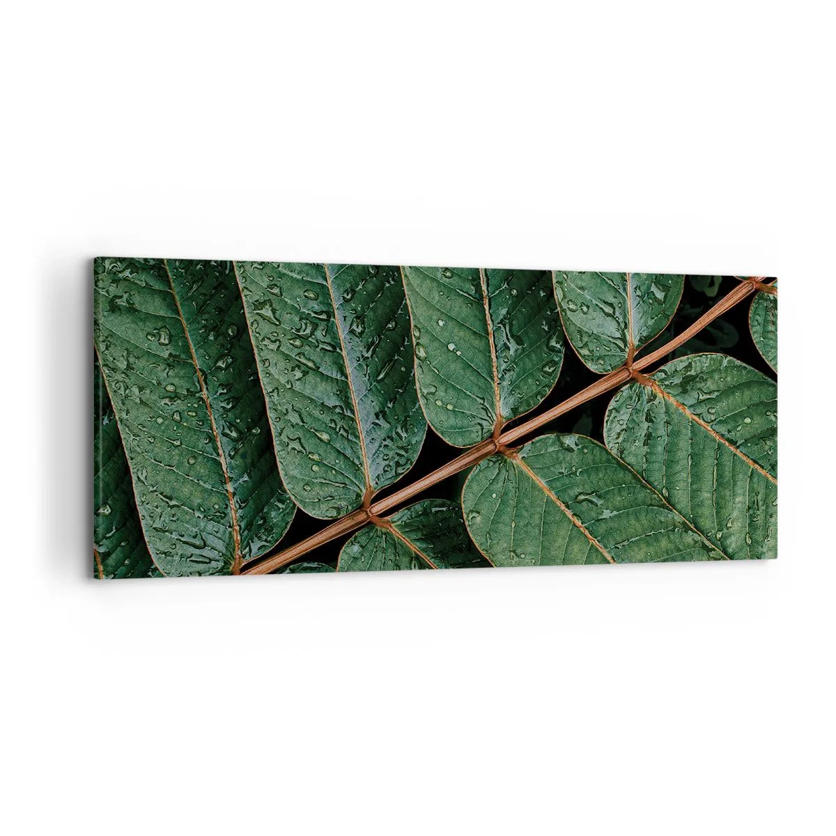 Schilderen op canvas - In een groen ritme - 120x50 cm