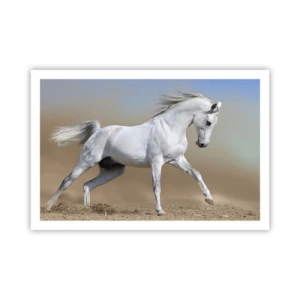 Poster - Het mooiste Arabische sprookje - 91x61 cm