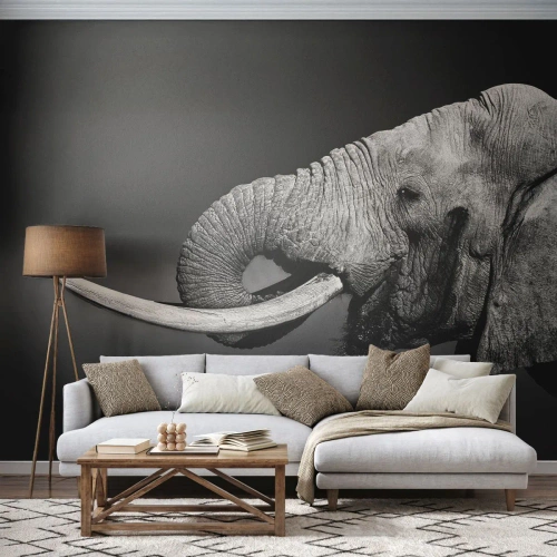 Fotobehang Premium Canvas - Ja, goed nu - Dieren, Olifant, Afrika - 450x315 cm